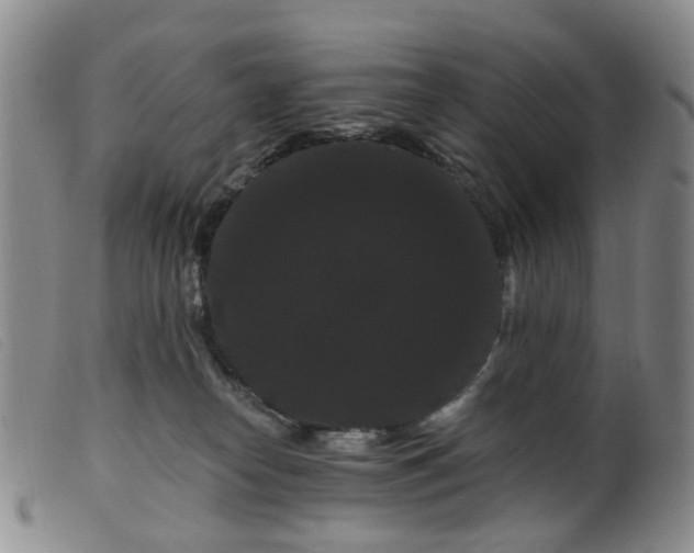 X0000099380182200805221815