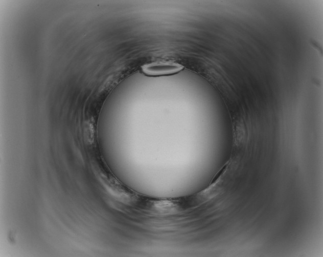 X0000099380183200805221815