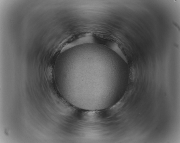 X0000099380184200805221815