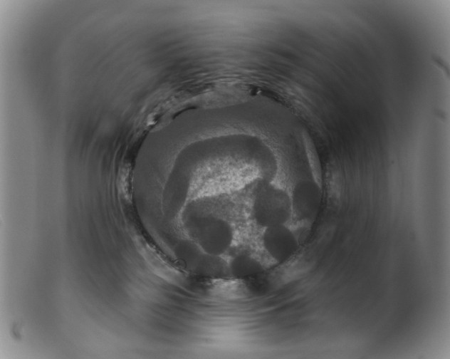 X0000099380185200805221815