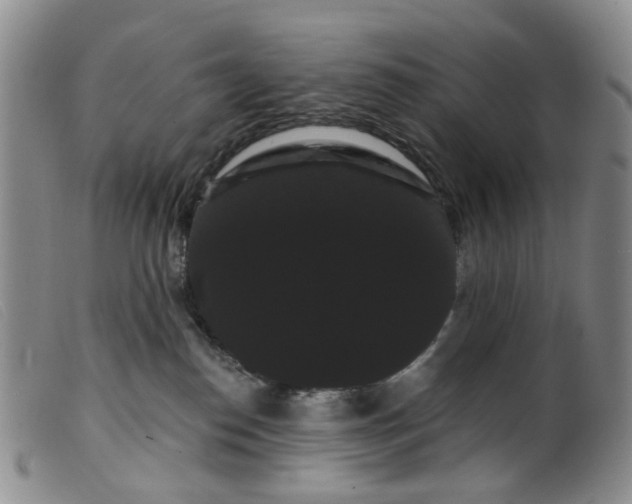 X0000099380186200805221815