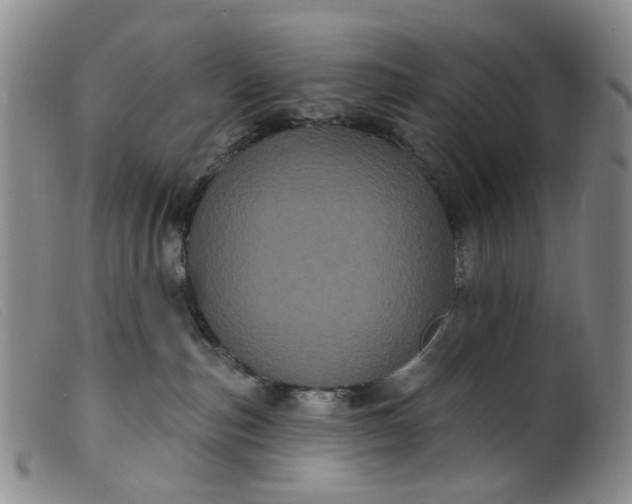 X0000099380187200805221815