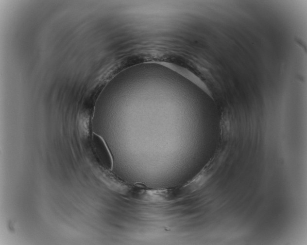 X0000099380188200805221815