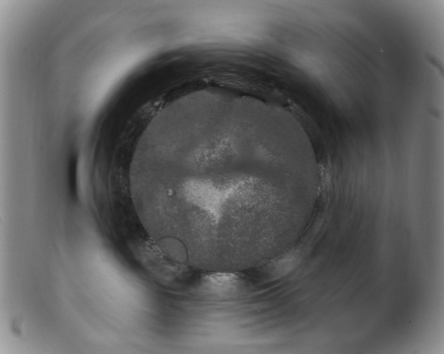 X0000099380189200805221815