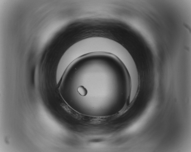 X0000099380190200805221815