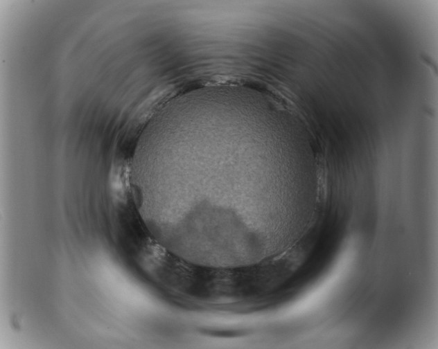 X0000099380191200805221815