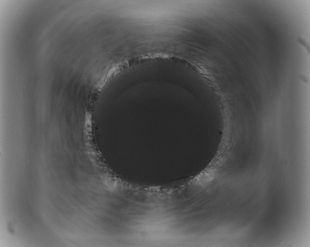 X0000099380192200805221815