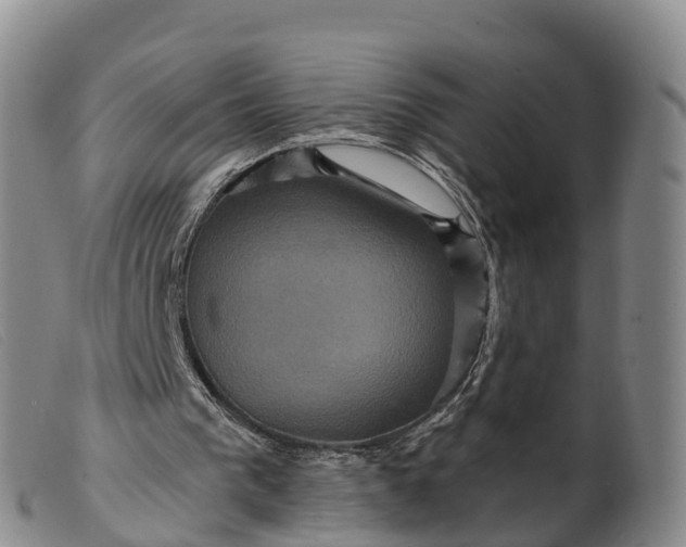 X0000099380193200805221814