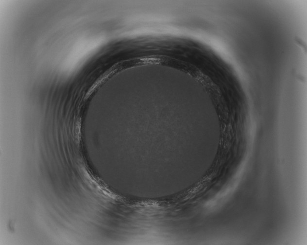 X0000099380194200805221814