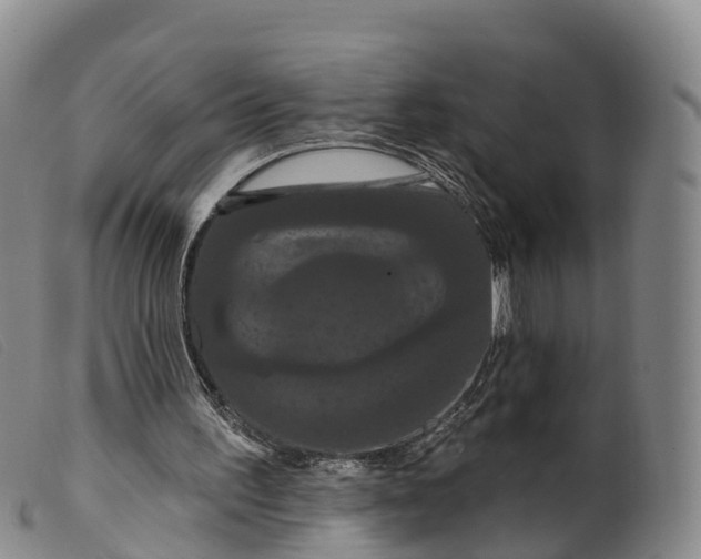 X0000099380195200805221814