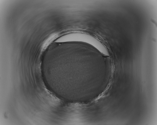 X0000099380197200805221814