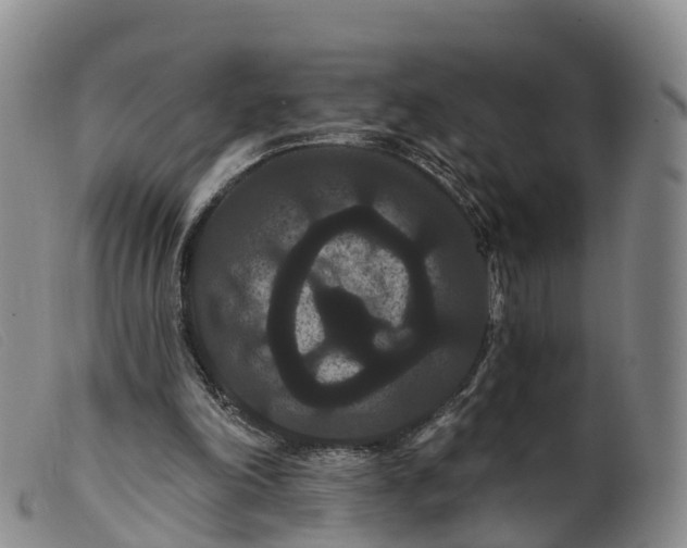 X0000099380198200805221814