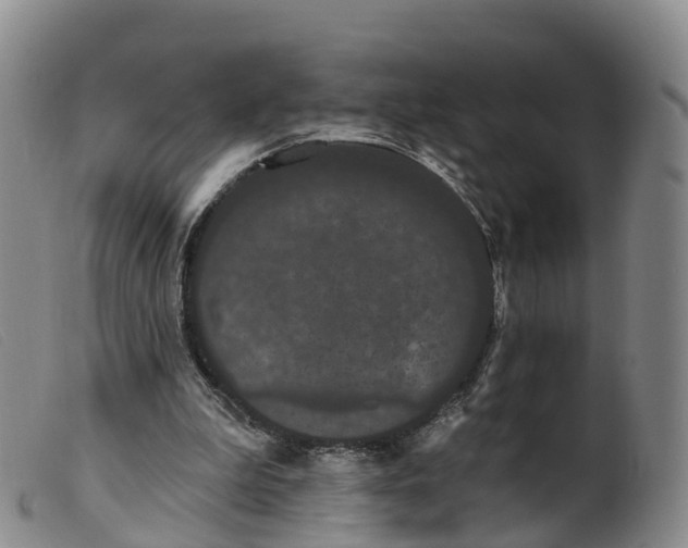 X0000099380199200805221814