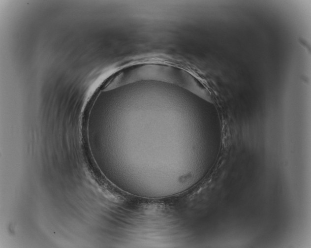 X0000099380200200805221814