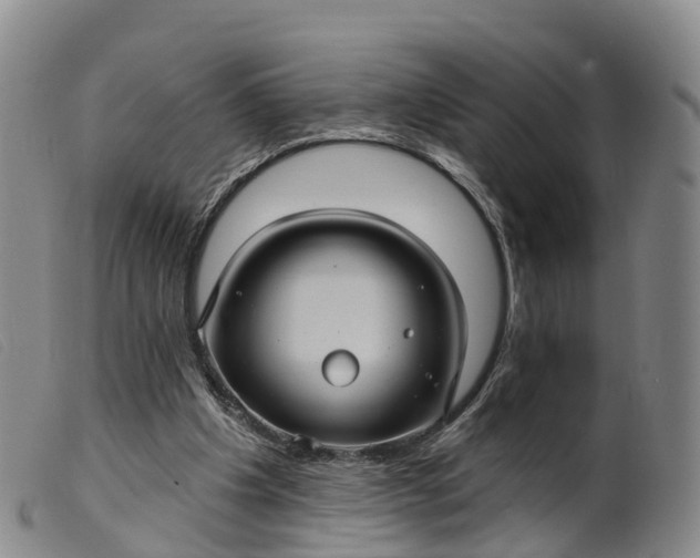 X0000099380201200805221814