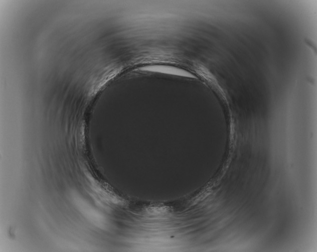 X0000099380202200805221814