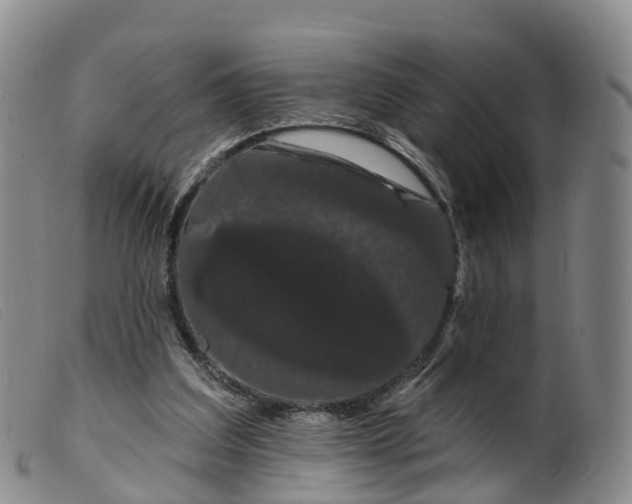 X0000099380203200805221814