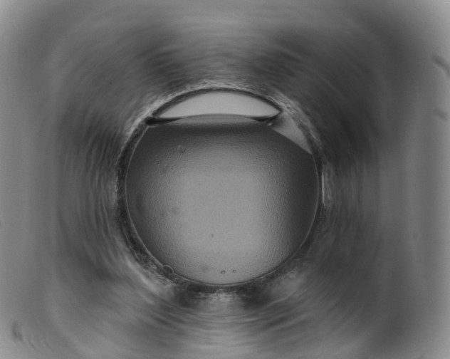 X0000099380204200805221814