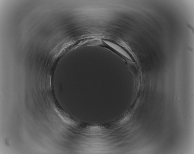 X0000099380205200805221814