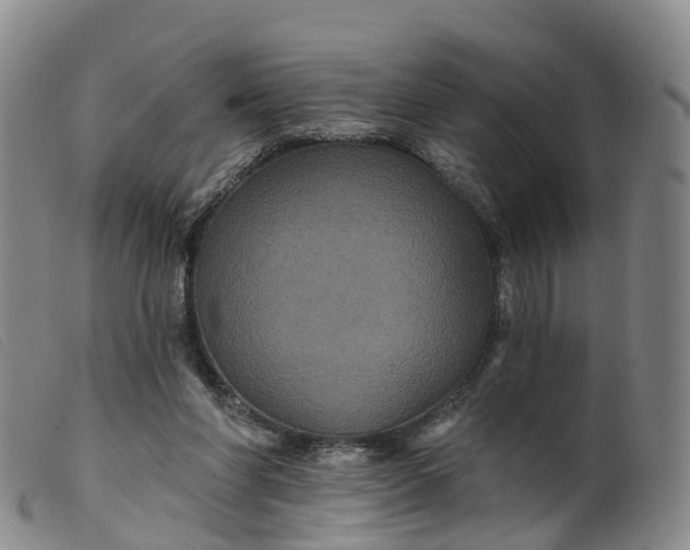 X0000099380206200805221814