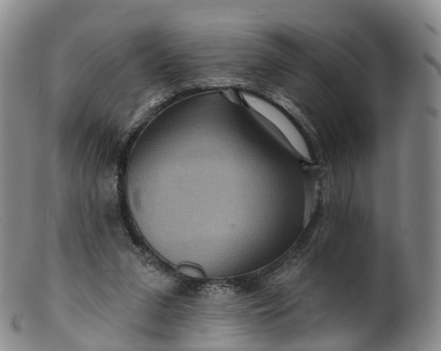 X0000099380207200805221814