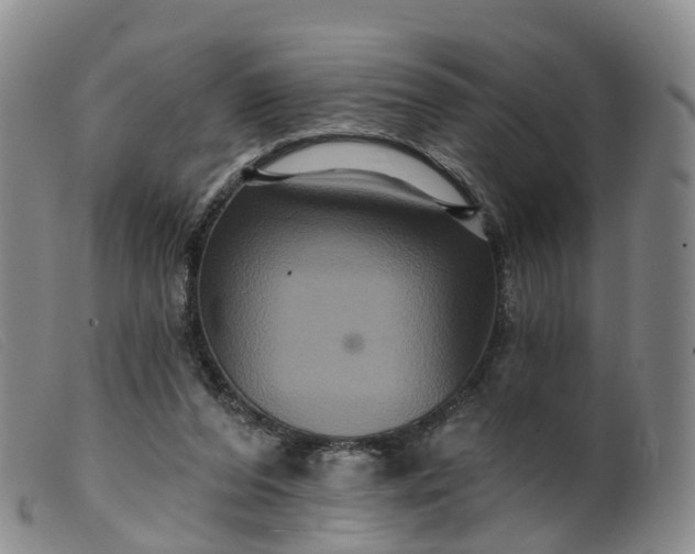 X0000099380208200805221814