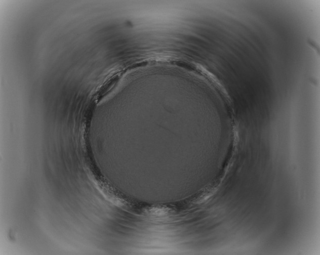 X0000099380209200805221814