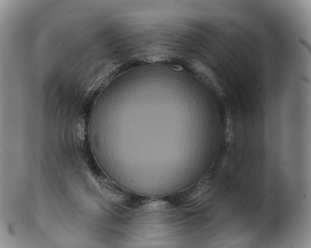 X0000099380210200805221814