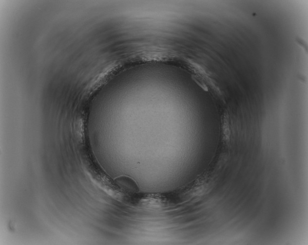 X0000099380211200805221814