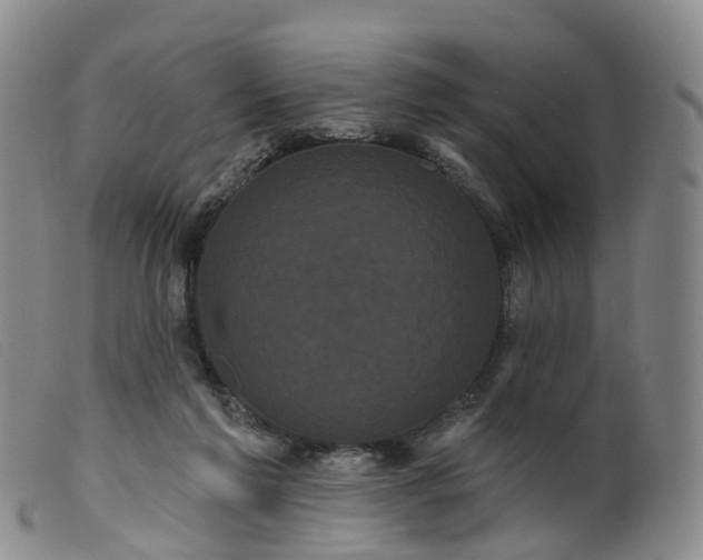 X0000099380213200805221814