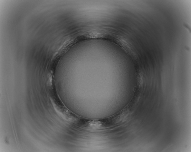 X0000099380214200805221814