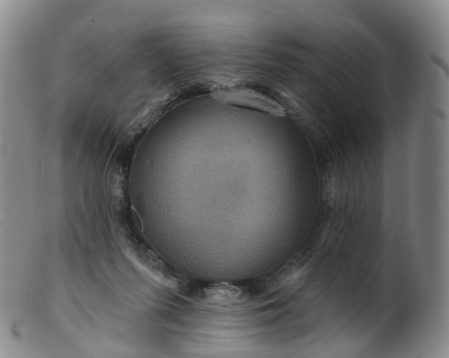 X0000099380215200805221814