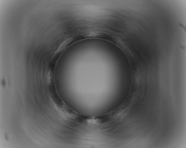 X0000099380216200805221814