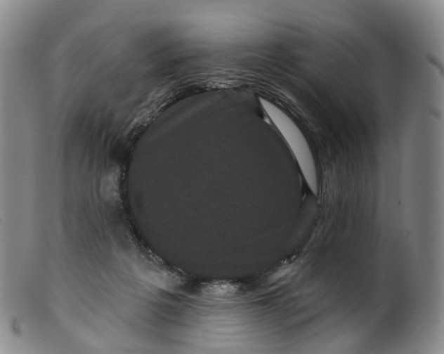 X0000099380217200805221814