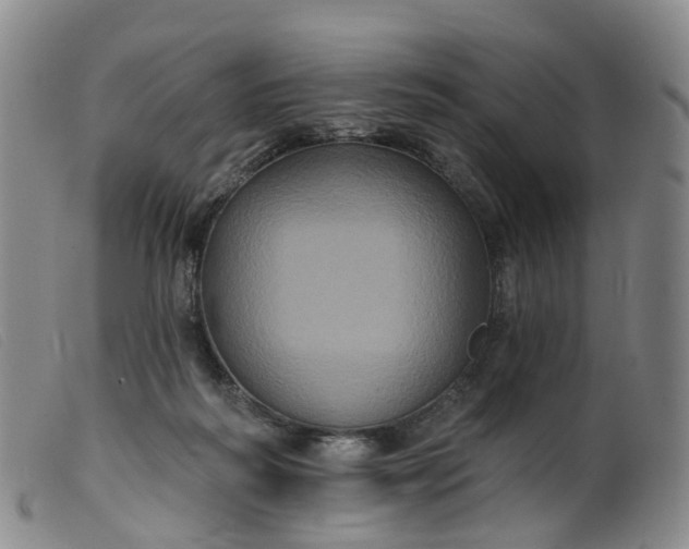 X0000099380218200805221814