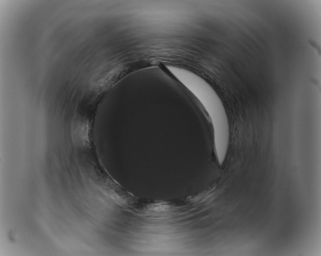 X0000099380219200805221814