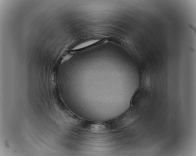 X0000099380220200805221814