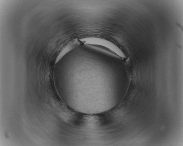 X0000099380221200805221814