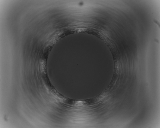 X0000099380222200805221814