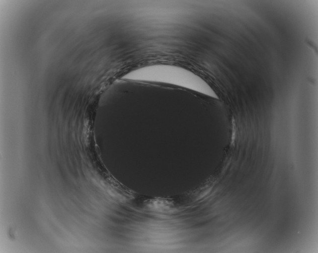 X0000099380223200805221814