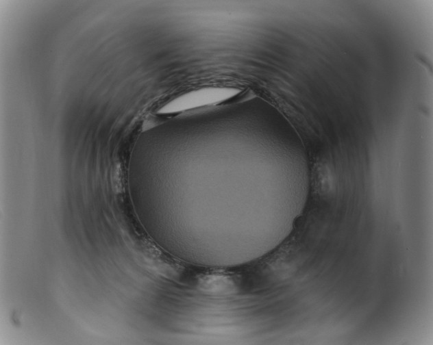 X0000099380224200805221814