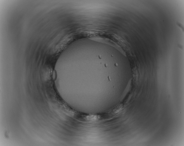 X0000099380225200805221814