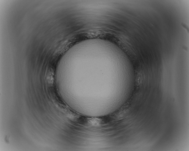 X0000099380226200805221814