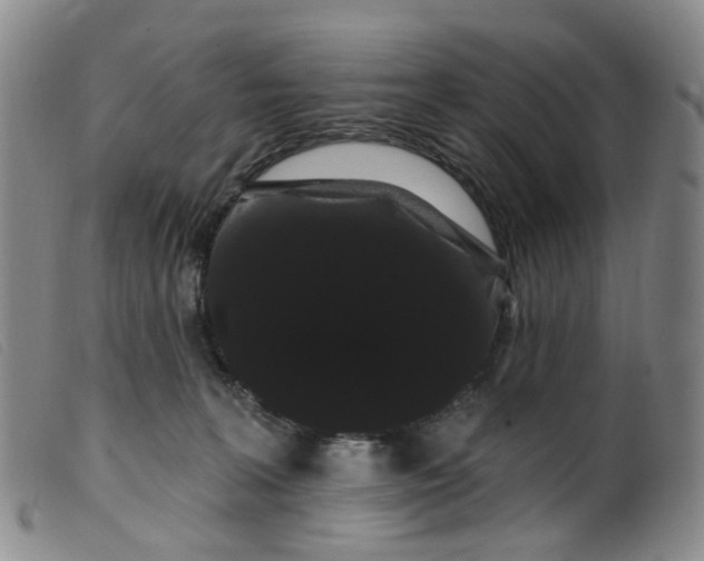 X0000099380227200805221814