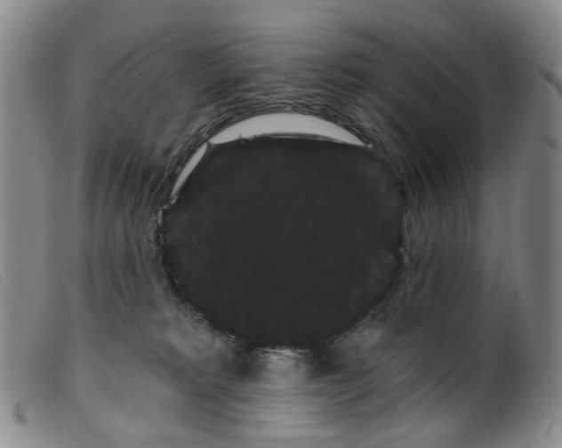 X0000099380229200805221814