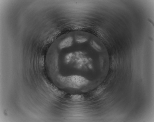 X0000099380230200805221814