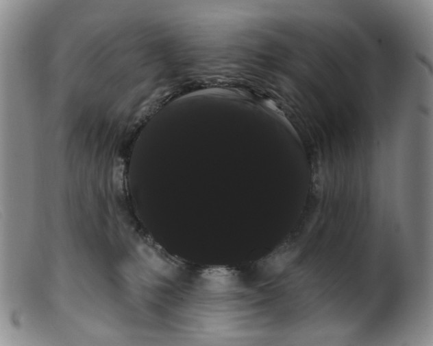 X0000099380231200805221813