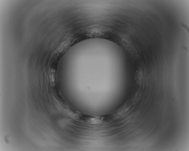 X0000099380232200805221813