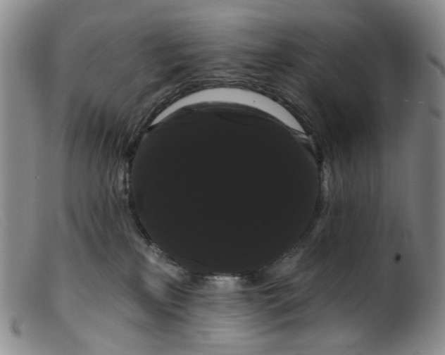 X0000099380233200805221813