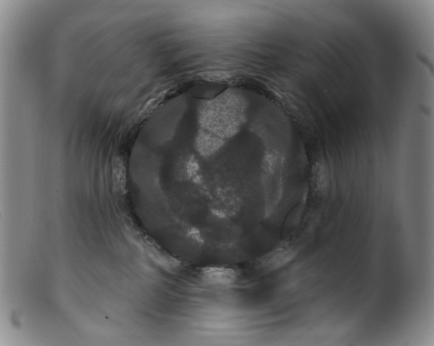 X0000099380234200805221813